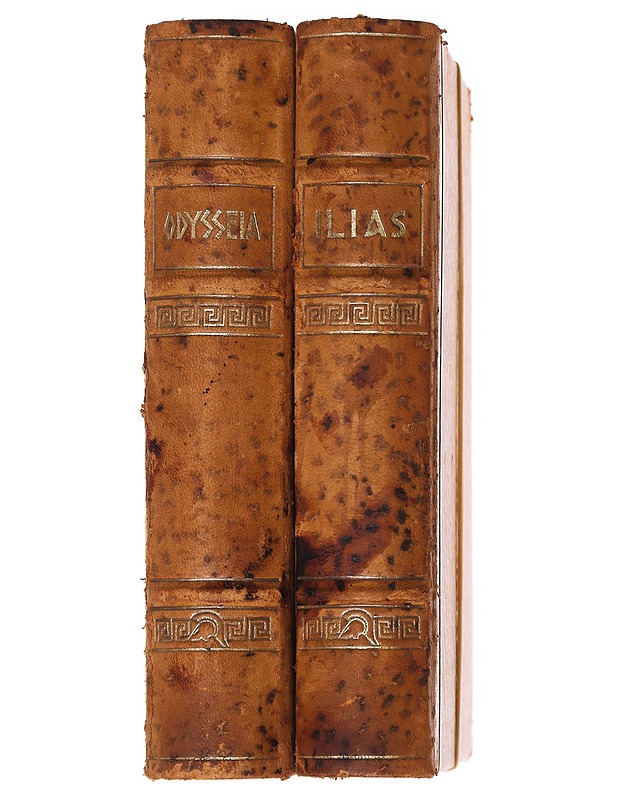 Ilias ja Odysseia - Homeros - Romaanit ja novellit - 10105591188 - 1
