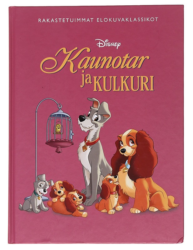 Kaunotar ja kulkuri - Heimonen, Satu - Lastenkirjat - 10105591403 - 0