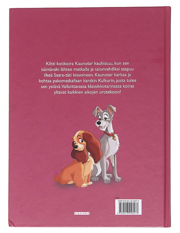 Kaunotar ja kulkuri - Heimonen, Satu - Lastenkirjat - 10105591403 - 1