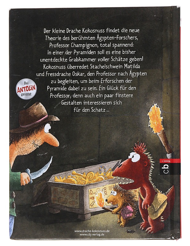  Der kleine Drache Kokosnuss und das Geheimnis der Mumie - Ingo Siegner  - Lastenkirjat - 10105591484 - 1
