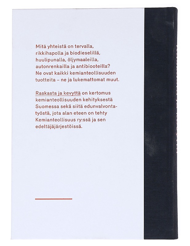 Raskasta ja kevyttä  - Anne Comment - Tietokirjat ja oppaat - 10105591654 - 1