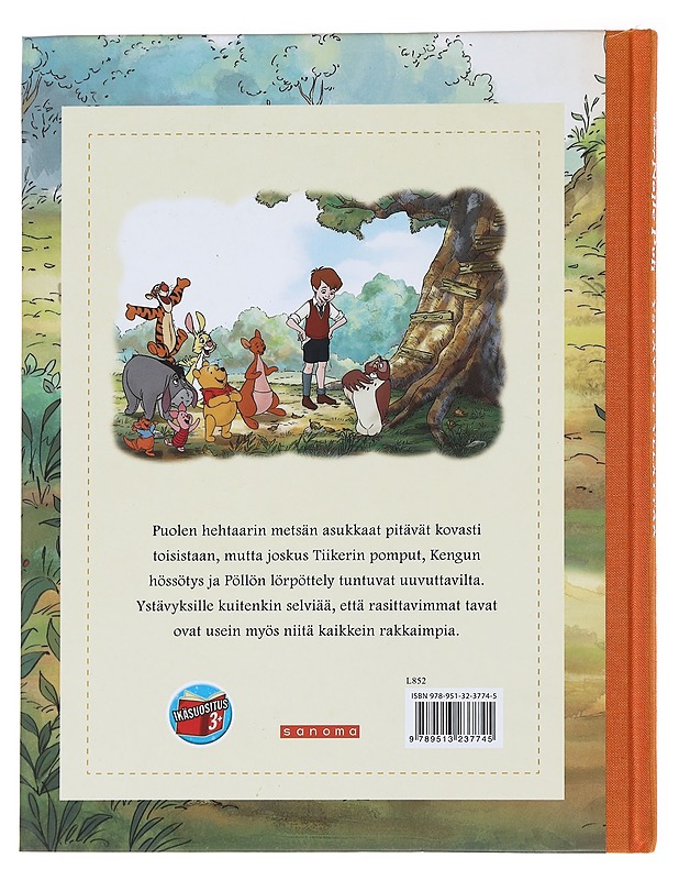 Nalle Puh: Ystävyys yllättää - Feldman, Thea - Lastenkirjat - 10105592256 - 1