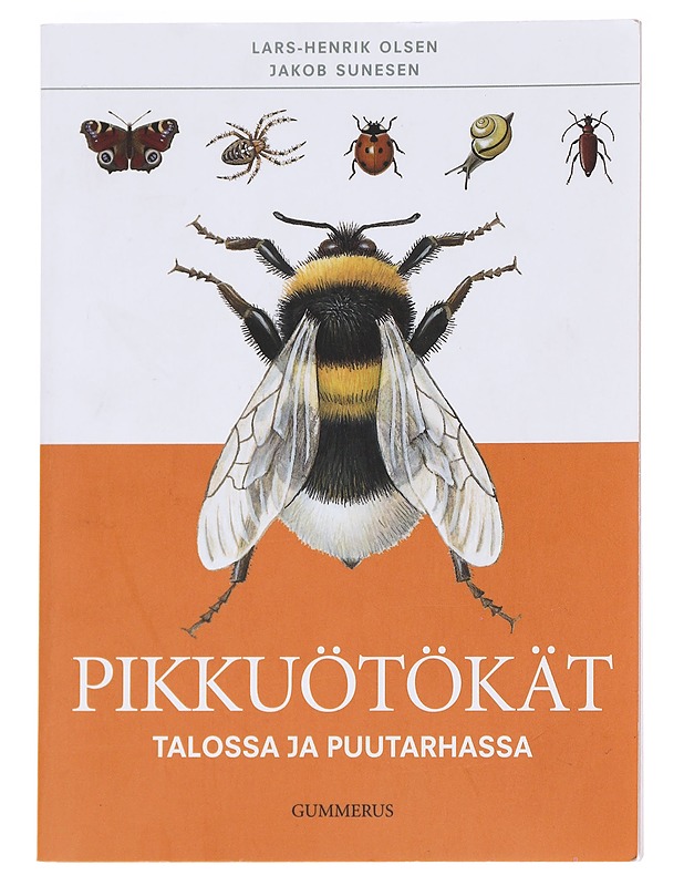 Pikkuötökät talossa ja puutarhassa - Olsen, Lars-Henrik - Tietokirjat ja oppaat - 10105592295 - 0