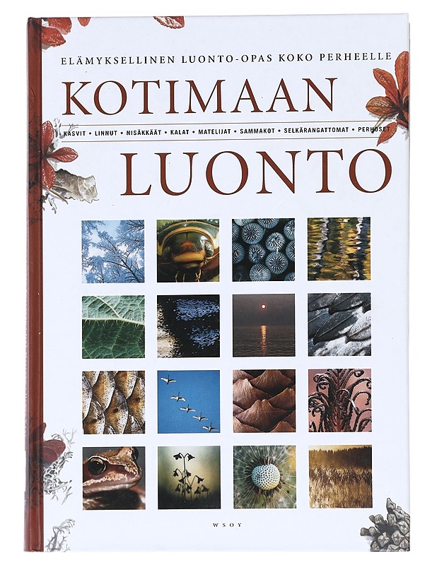 Kotimaan luonto - Björklund, Tom - Tietokirjat ja oppaat - 10105592308 - 0