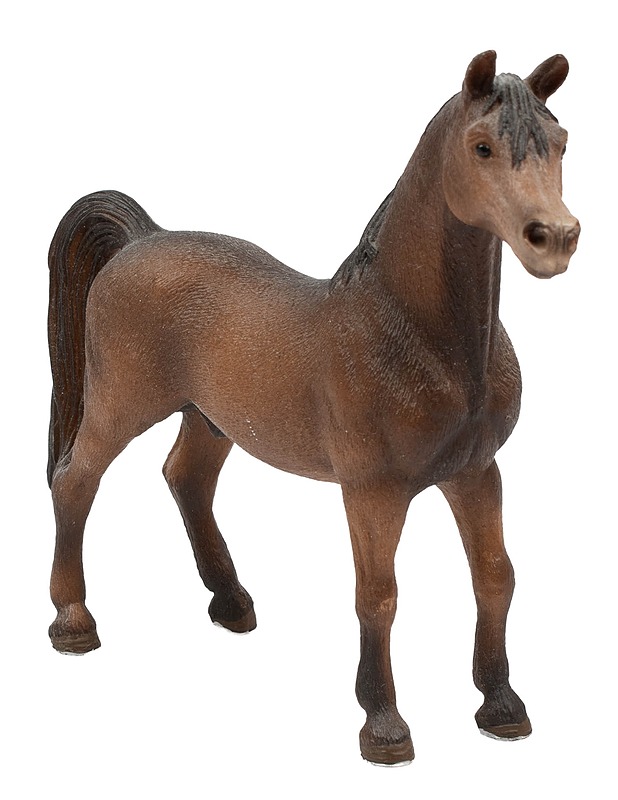 SCHLEICH Arabianhevonen - Lasten figuurit - 10105592409 - 0