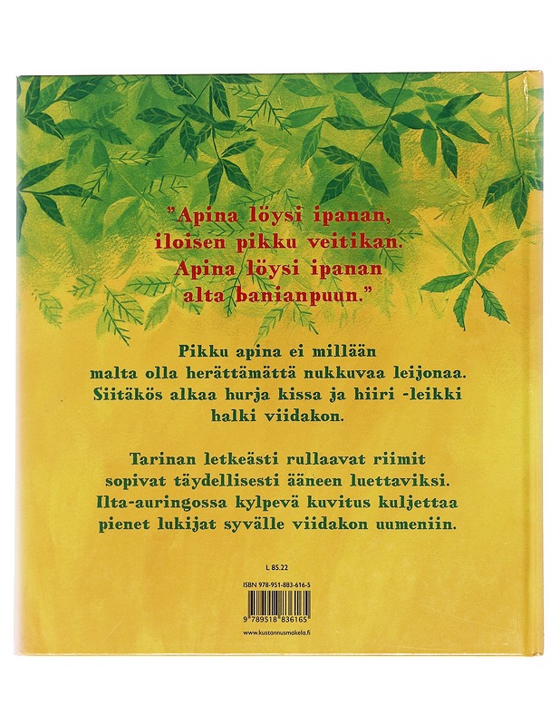 Apina löysi ipanan - Willis, Jeanne - Lastenkirjat - 10105592494 - 1