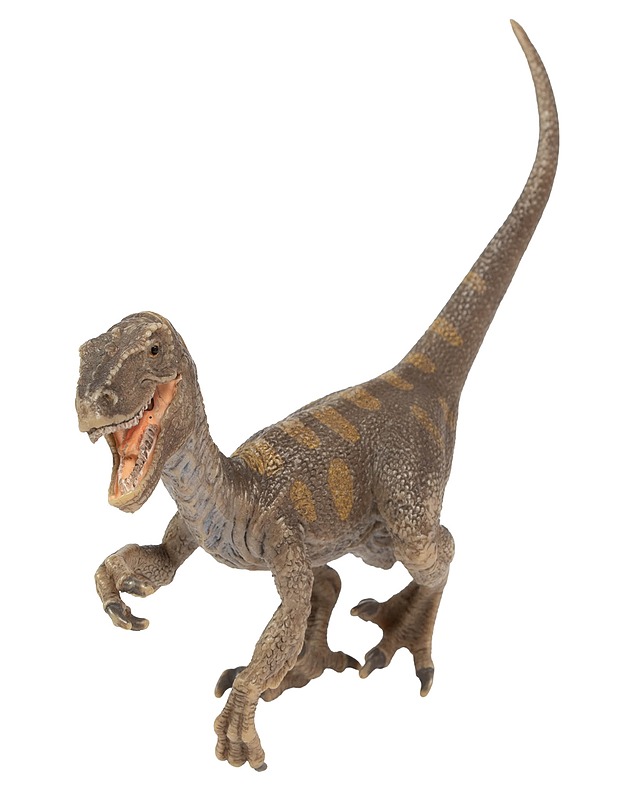 SCHLEICH Velociraptor-dinosaurusfiguuri - Lasten figuurit - 10105592497 - 0