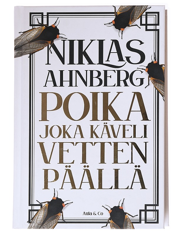 Poika joka käveli vetten päällä - Niklas Ahnberg - Fantasia- ja scifi - 10105592927 - 0