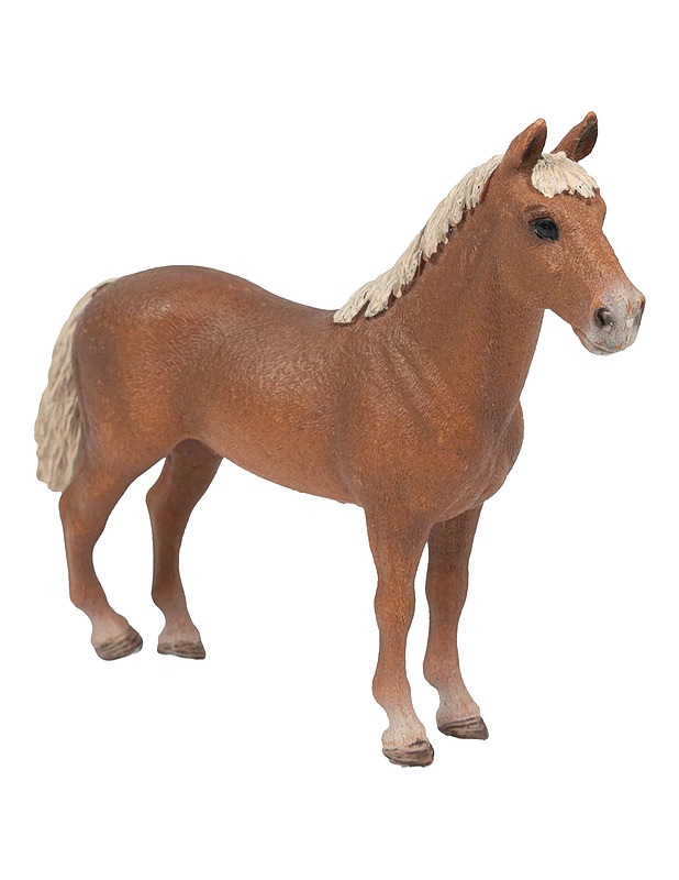 SCHLEICH Morganinhevonen ori figuuri - 13869 - Lasten figuurit - 10105592960 - 0
