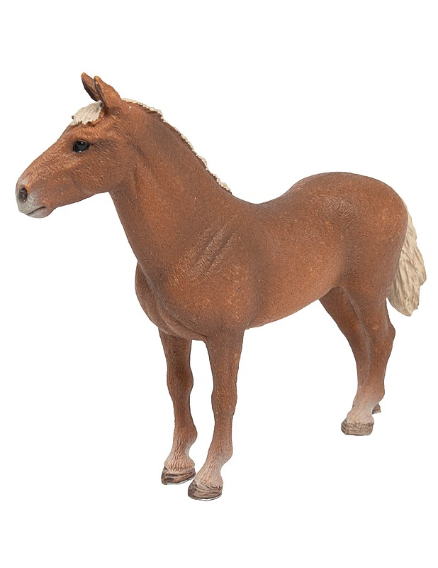 SCHLEICH Morganinhevonen ori figuuri - 13869 - Lasten figuurit - 10105592960 - 1