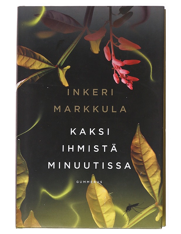 Kaksi ihmistä minuutissa - Inkeri Markkula - Romaanit ja novellit - 10105593123 - 0
