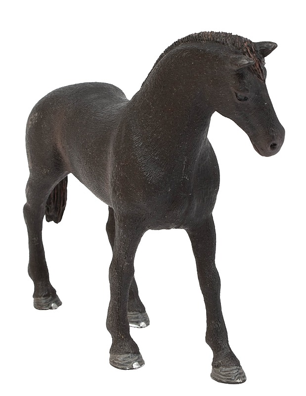 SCHLEICH Farm World / Horse Club Englannintäysiverinen, ori-lelufiguuri, n:o 13856 - Lasten pelit ja lelut - 10105593223 - 0