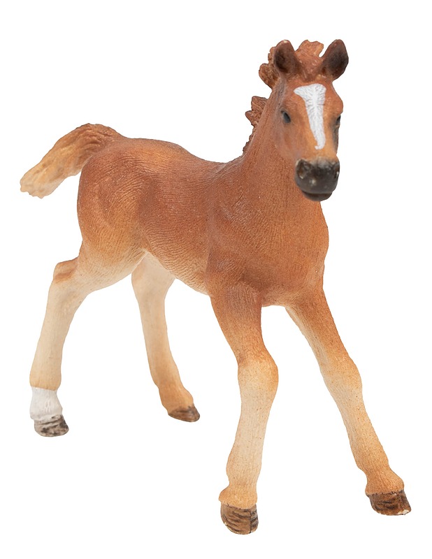 SCHLEICH Englannin täysverinen varsa lelufiguuri - Lasten figuurit - 10105593649 - 0