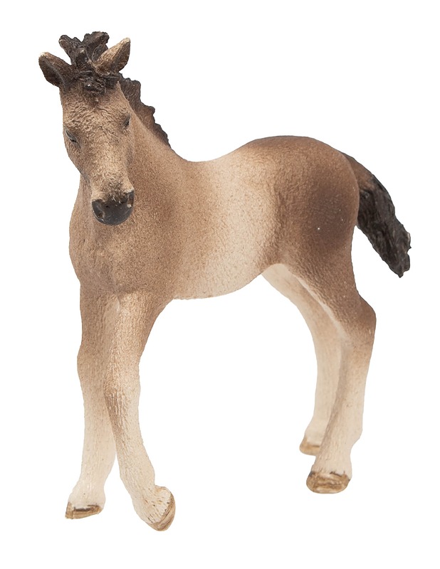SCHLEICH Andalusialaisen varsa lelufiguuri - Lasten figuurit - 10105593729 - 0