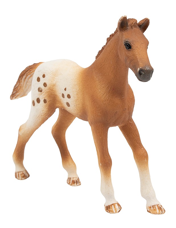 SCHLEICH Appaloosa hevonen lelufiguuri - Lasten figuurit - 10105593792 - 0