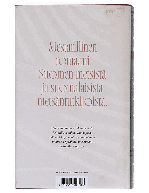 Yö ja usva - Teemu Kaskinen - Romaanit ja novellit - 10105593806 - 1