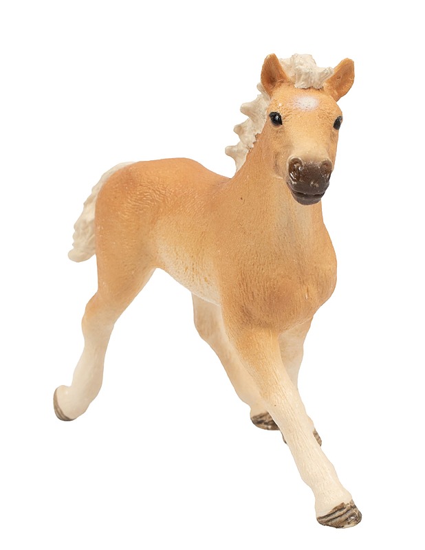 SCHLEICH Haflinger varsa lelufiguuri  - Lasten figuurit - 10105593879 - 0