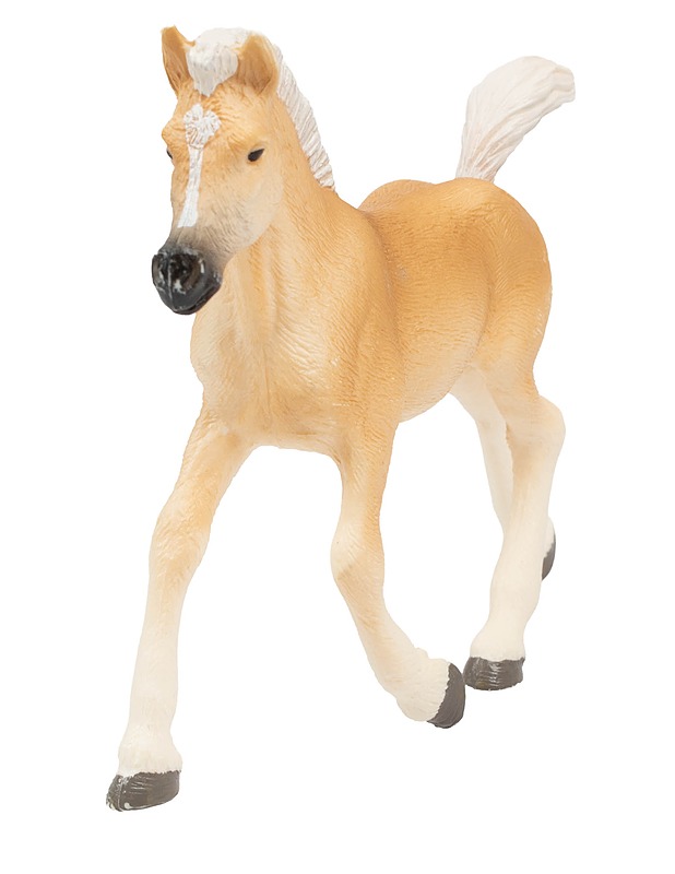 SCHLEICH Haflinger varsa lelufiguuri  - Lasten figuurit - 10105593898 - 0