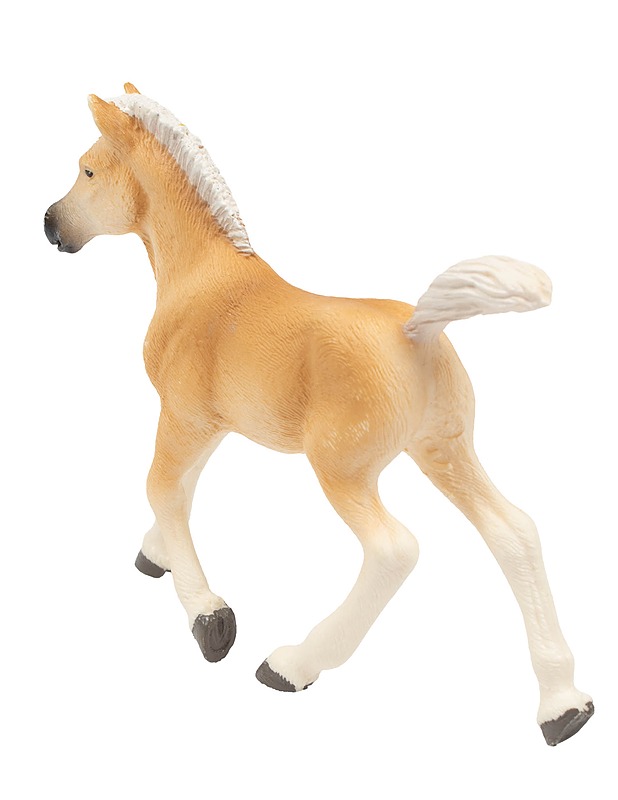 SCHLEICH Haflinger varsa lelufiguuri  - Lasten figuurit - 10105593898 - 1
