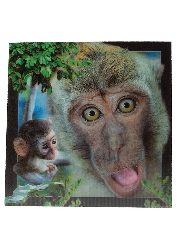 Apina 3D-muovipostikortti - 1 kpl - Askartelu - 10105594283 - 0