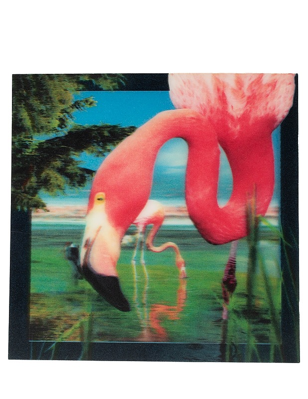 Flamingo 3D-muoviostikortti - 1 kpl - Askartelu - 10105594293 - 0
