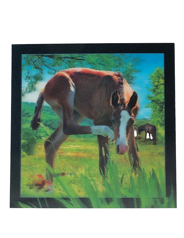 Varsa 3D-muovipostikortti - 1 kpl - Askartelu - 10105594302 - 0