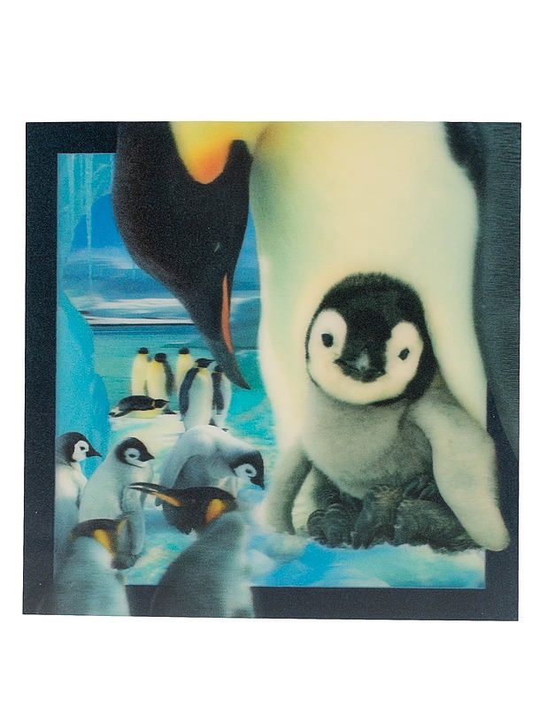 Pingviini 3D-muovipostikortti - 1 kpl - Askartelu - 10105594306 - 0