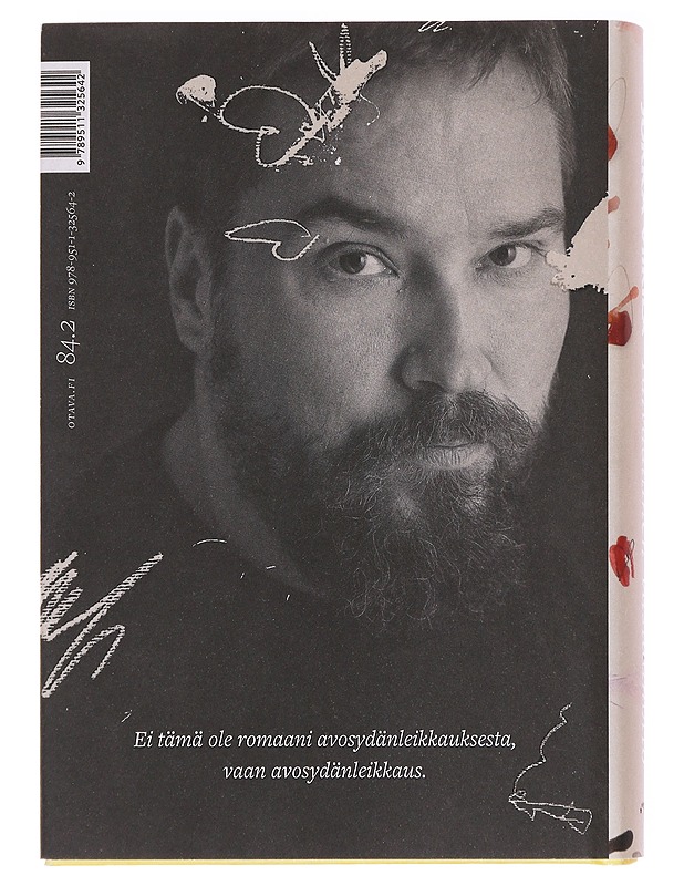 Taivaallinen vastaanotto - Jukka Viikilä - Romaanit ja novellit - 10105594405 - 1