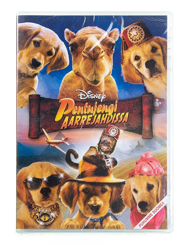 Pentujengi Aarrejahdissa - DVD - DVD-elokuvat - 10105594698 - 0