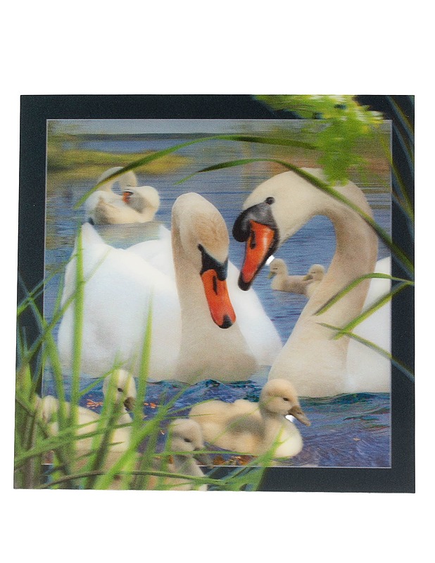 Joutsen 3D -muovipostikortti, 15x15 cm - Askartelu - 10105594906 - 0