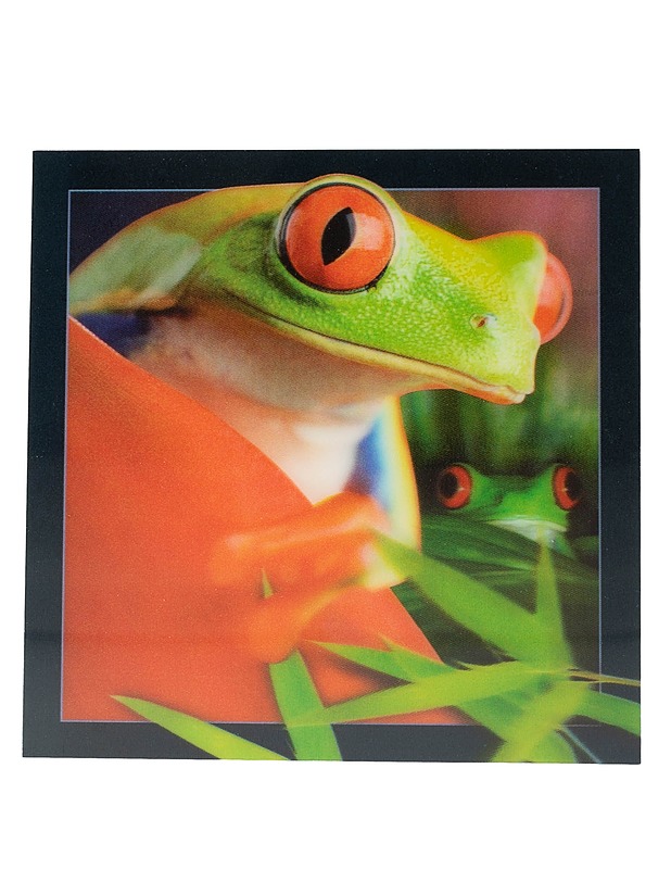 3D -postikortti, sammakko aihe , 15x15 cm - Askartelu - 10105594913 - 0