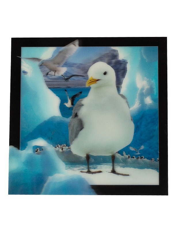 3D -postikortti, lokkiaihe , 15x15 cm - Askartelu - 10105594957 - 0