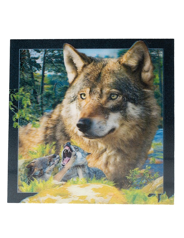 3D -postikortti, susi-aihe , 15x15 cm - Askartelu - 10105595004 - 0