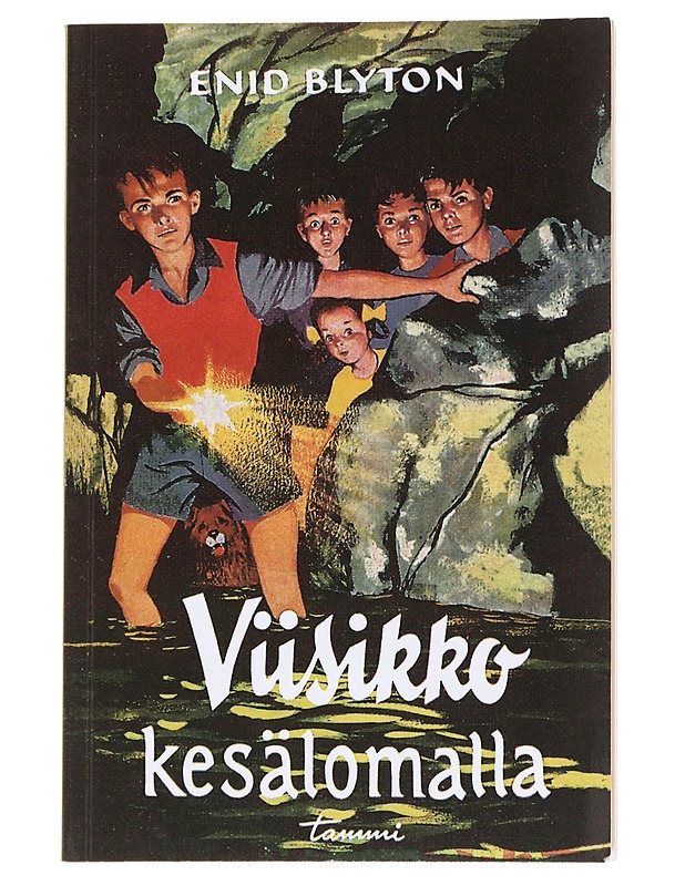 Viisikko kesälomalla - Blyton, Enid - Lastenkirjat - 10105595904 - 0