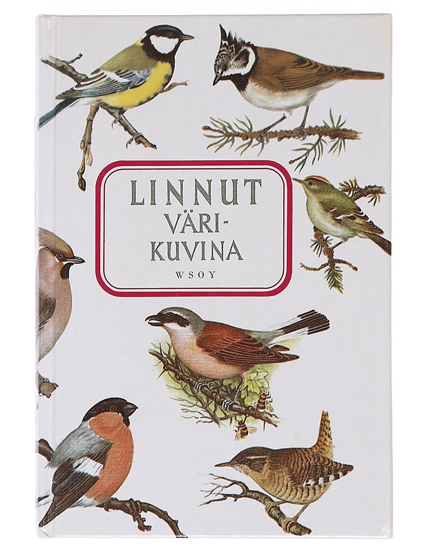 Linnut värikuvina - Voipio, Paavo - Tietokirjat ja oppaat - 10105596269 - 0