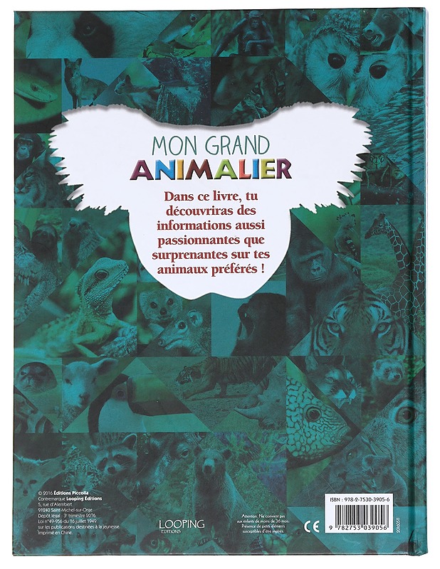 My Big Book of Animals - Lastenkirjat - 10105596500 - 1