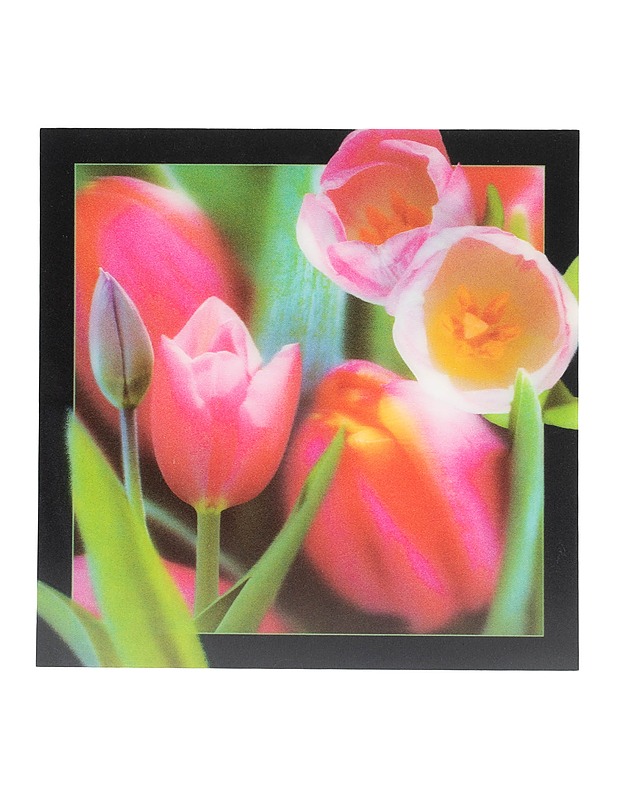 3D-muovipostikortti, tulppaani - Askartelu - 10105596688 - 0