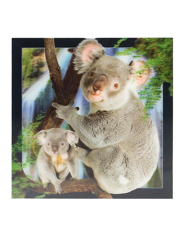 3D-muovipostikortti, koala - Askartelu - 10105596703 - 0