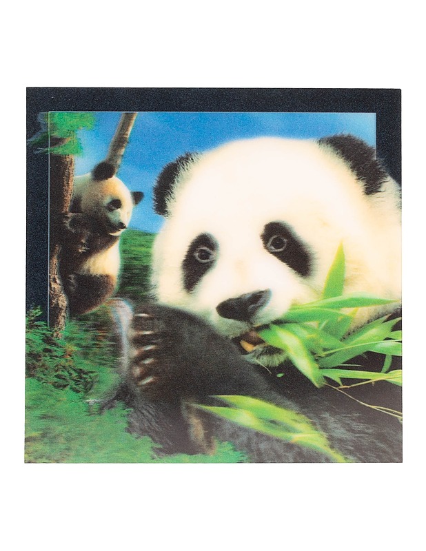 3D-muovipostikortti, panda - Askartelu - 10105596805 - 0