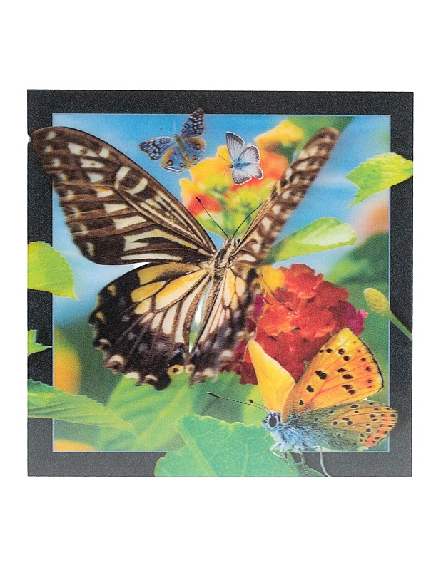 3D-muovipostikortti, perhonen - Askartelu - 10105596813 - 0