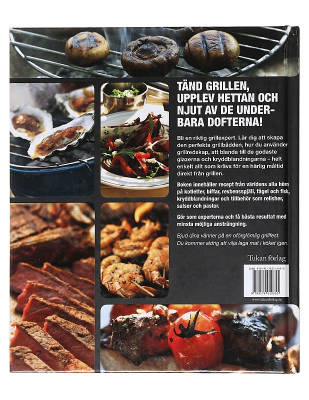 Stora grillboken recept och tekniker - Schlesinger, Chris - Ruokakirjat - 10105597585 - 1