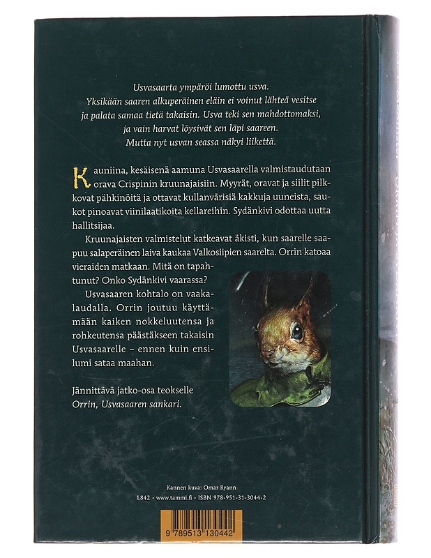 Orrin ja Sydänkivi - McAllister, M. I. - Lastenkirjat - 10105597703 - 1