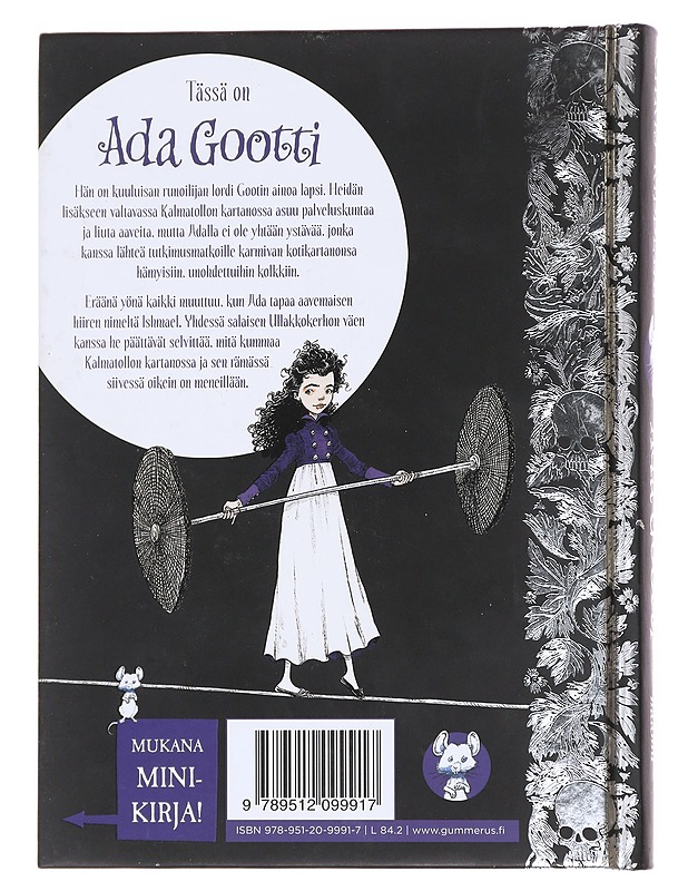 Ada Gootti ja hiiren haamu - Riddell, Chris - Lastenkirjat - 10105597971 - 1