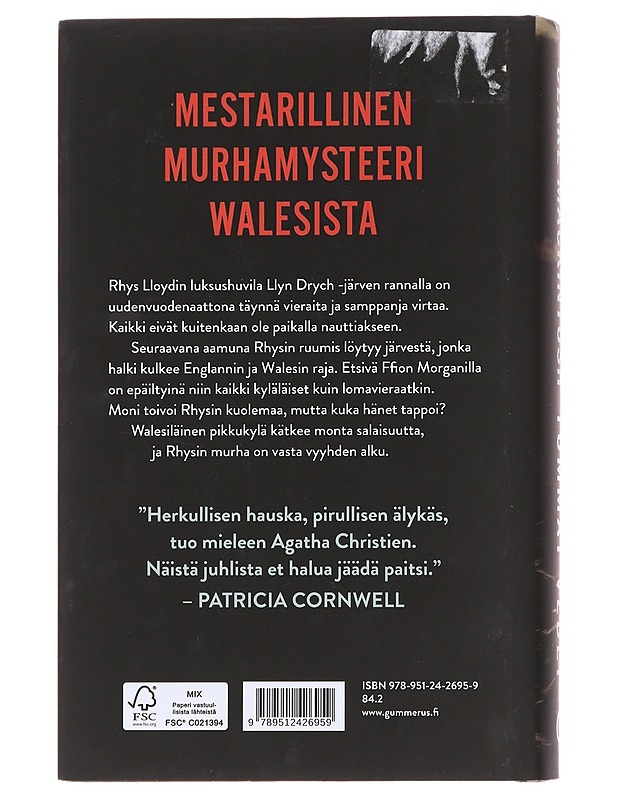 Tummat vedet - Mackintosh, Clare - Romaanit ja novellit - 10105597983 - 1