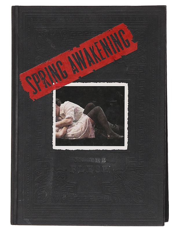 Spring Awakening: In the Flesh - Cote, David - Tietokirjat ja oppaat - 10105598158 - 0