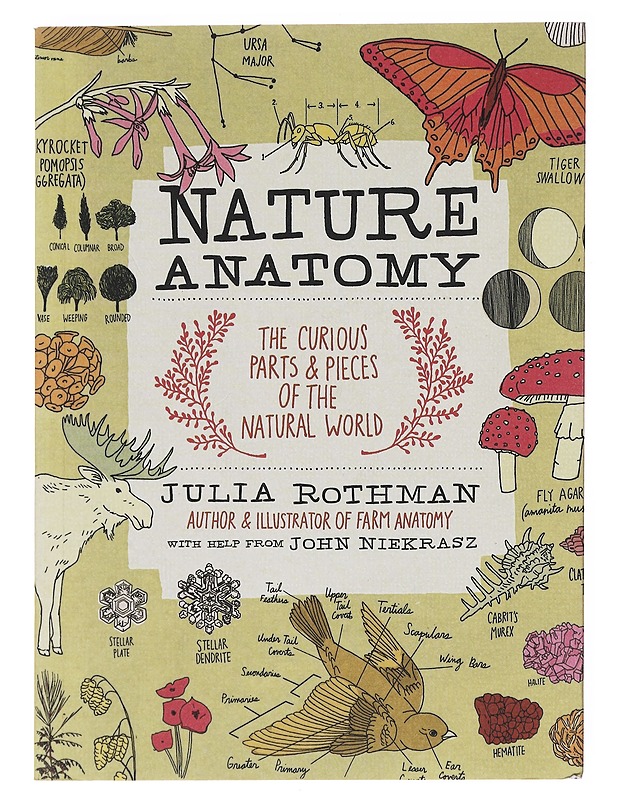 Nature anatomy / the curious parts & pieces of the natural world - Rothman, Julia - Lastenkirjat - 10105598585 - 0