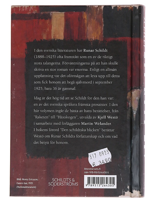 Ett nytt liv - Schildt, Runar - Romaanit ja novellit - 10105598964 - 1