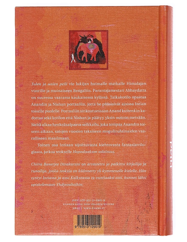 Tulen ja unien peili - Divakaruni, Chitra Banerjee - Fantasia- ja scifi - 10105599074 - 1