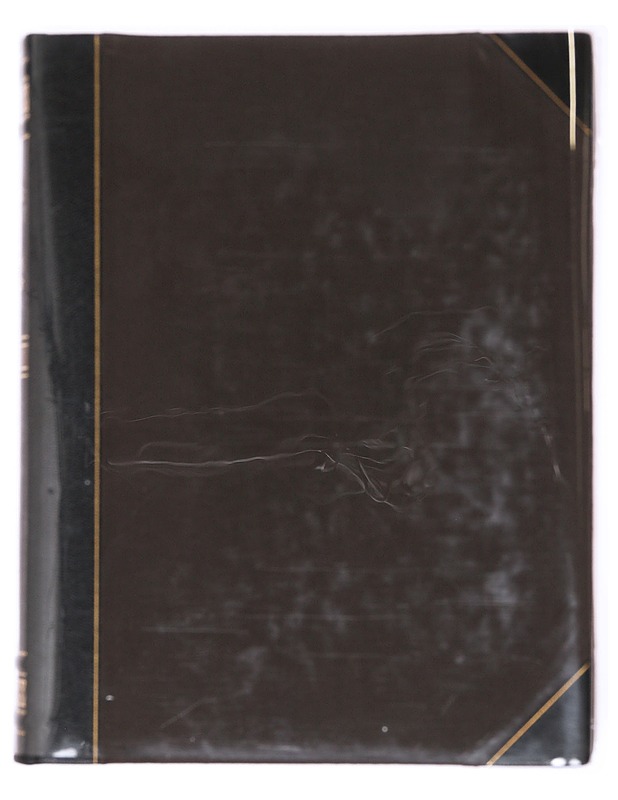 Juhla Kalevala ja Akseli Gallen-K. Kalevala-t. - Gallen-Kallela, Aivi - Taide- ja kulttuurikirjat - 10105599843 - 0