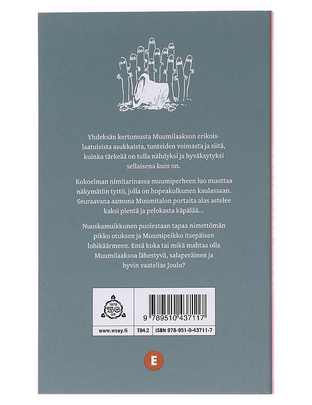 Näkymätön lapsi - Jansson, Tove - Lastenkirjat - 10105600329 - 1